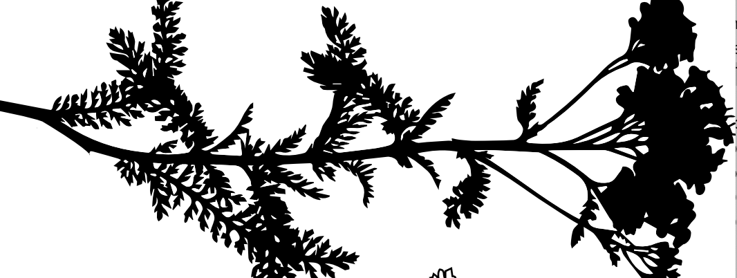 Plant Designs – a Preview