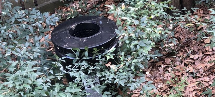Mosquito Buckets are OUT (and IN)
